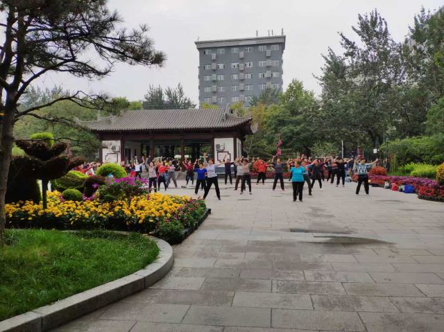 莲湖公园旅行图片 6
