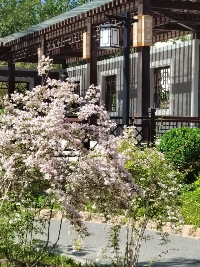 丰台花园旅行图片 1