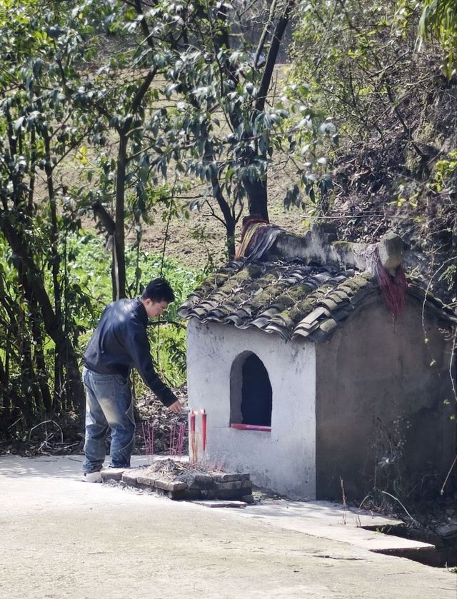 佛光寺旅行图片 7