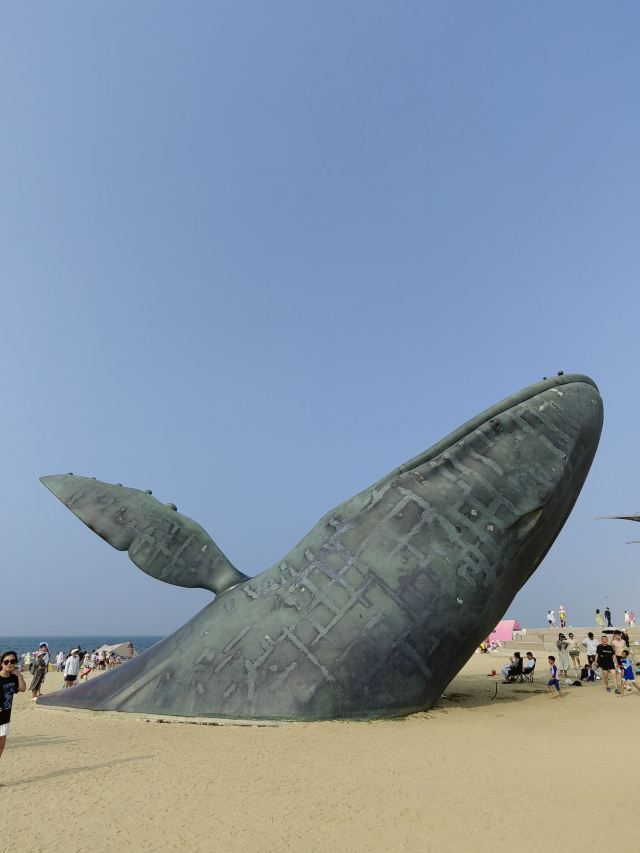 孤独的鲸旅行图片 2