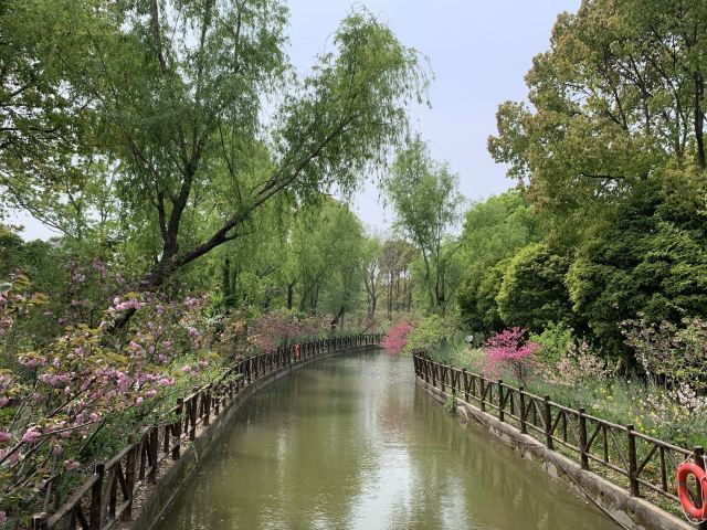 上海南汇桃花村旅行图片 3