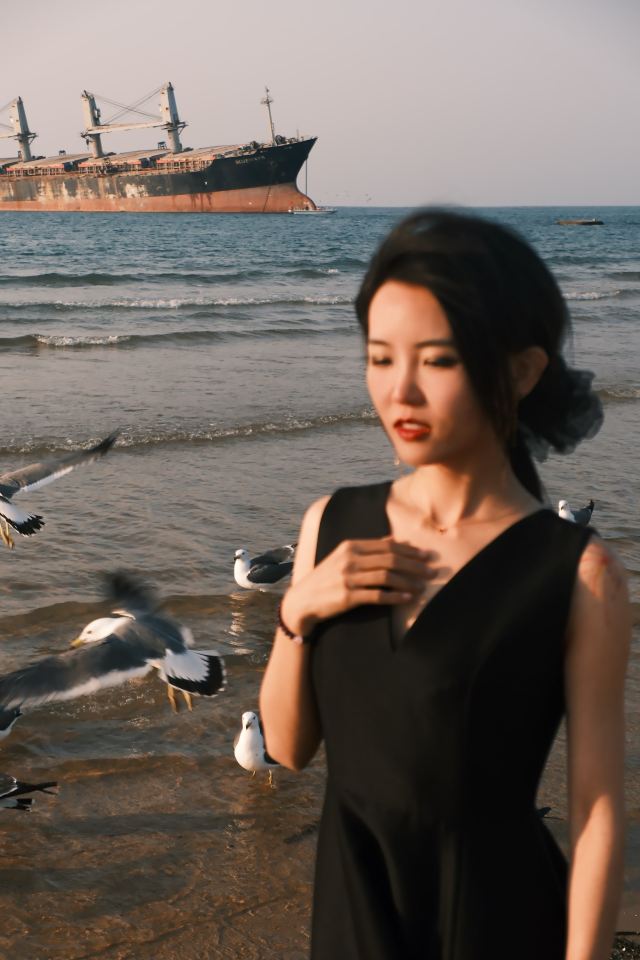 布鲁威斯号搁浅巨轮旅行图片 9