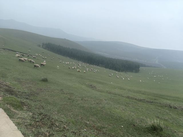 丰宁坝上草原旅行图片 7