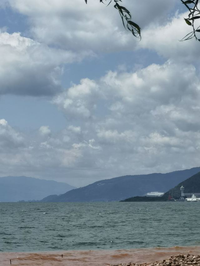抚仙湖国际度假小镇湖畔森林公园旅行图片 11