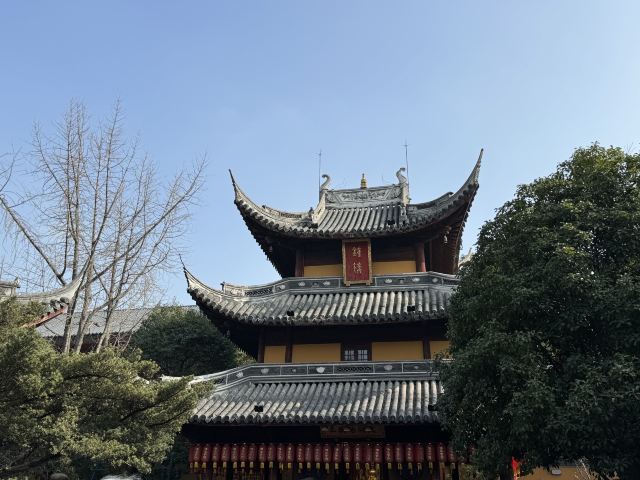 龙华寺旅行图片 3