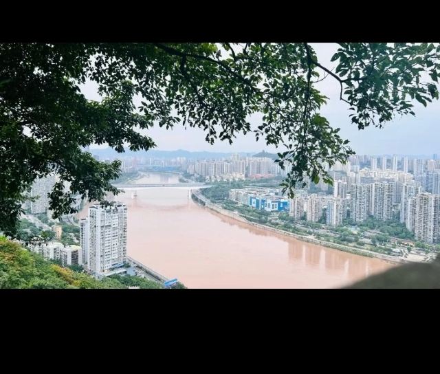 鹅岭公园旅行图片 3
