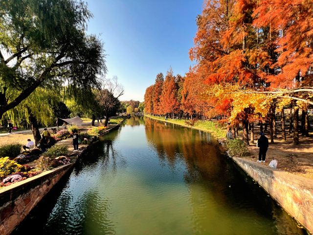 上海共青森林公园旅行图片 8