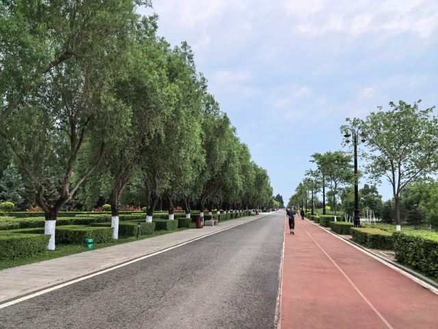 哈尔滨音乐公园旅行图片 4