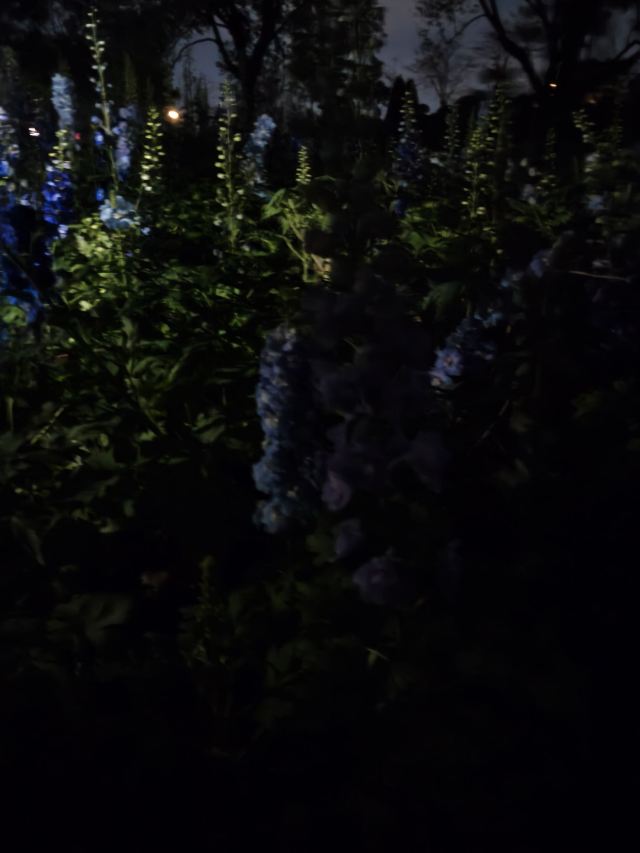 黄山风景区旅行图片 1