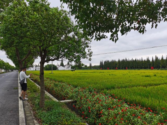 上海浦江之首旅行图片 1