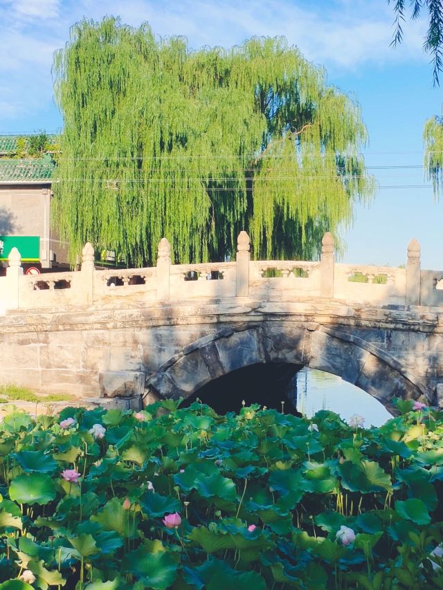 万宁桥旅行图片 1