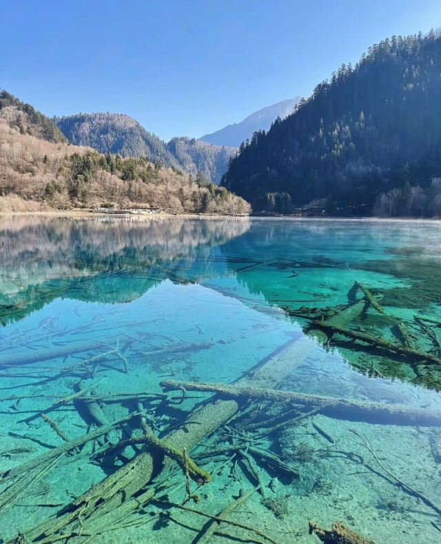 九寨沟景区五彩池观景台旅行图片 1