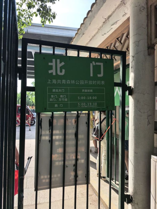 上海共青森林公园旅行图片 5