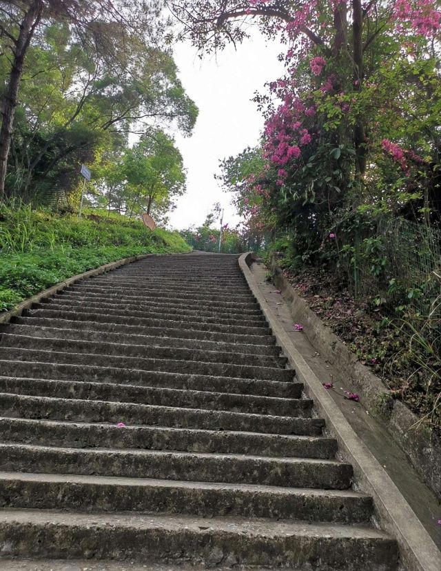 五象岭森林公园旅行图片 2