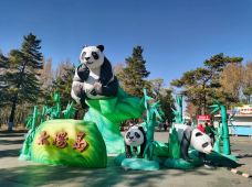 太阳岛风景区-哈尔滨-liujiahao～