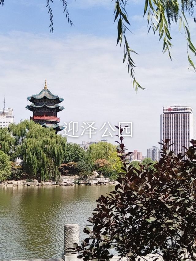 迎泽公园旅行图片 1