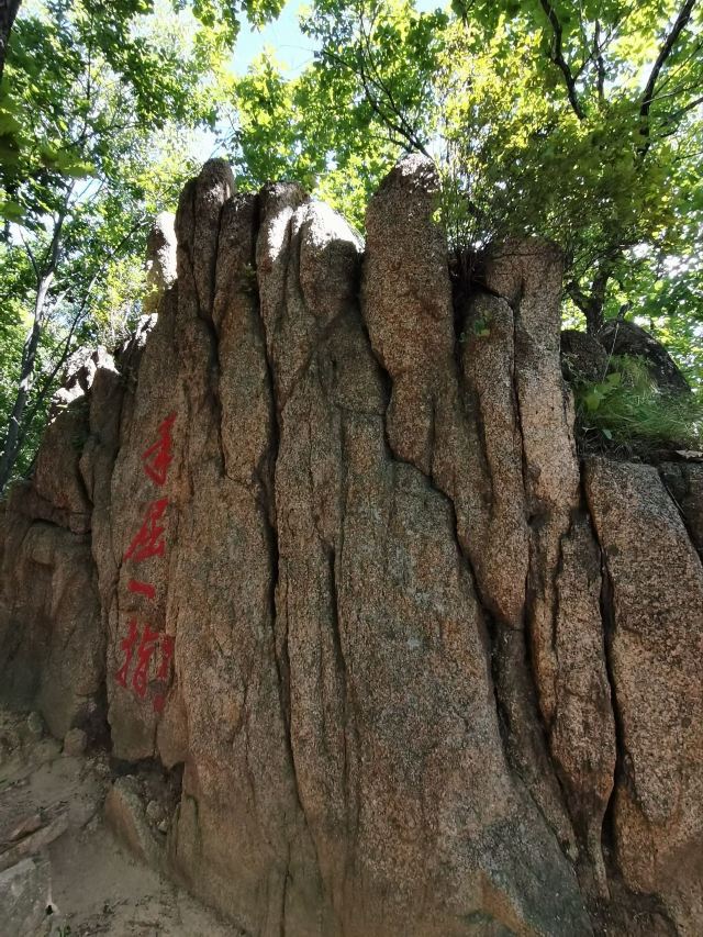 朱雀山国家森林公园旅行图片 8