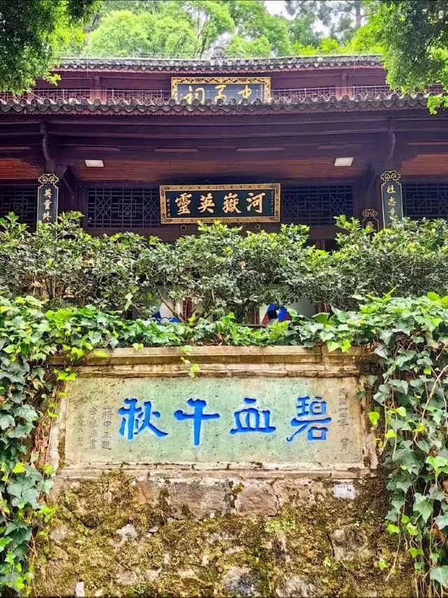 国殇墓园旅行图片 4