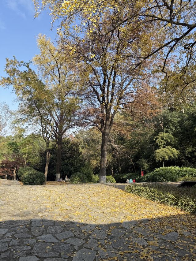 南山风景区旅行图片 1