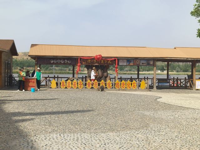 沙坡头旅游景区旅行图片 2