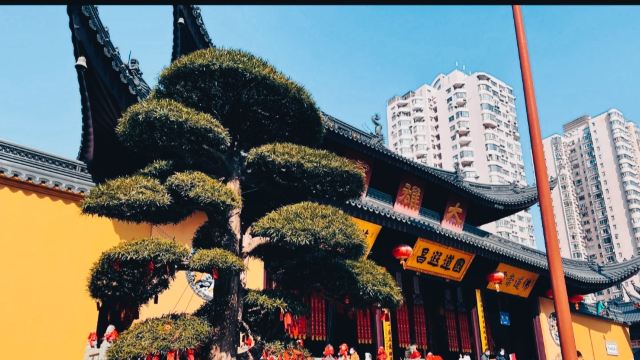 玉佛禅寺旅行图片 2