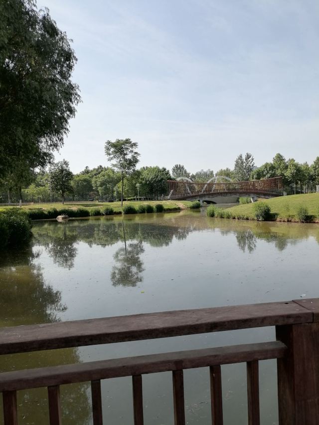 西安浐灞国家湿地公园旅行图片 1