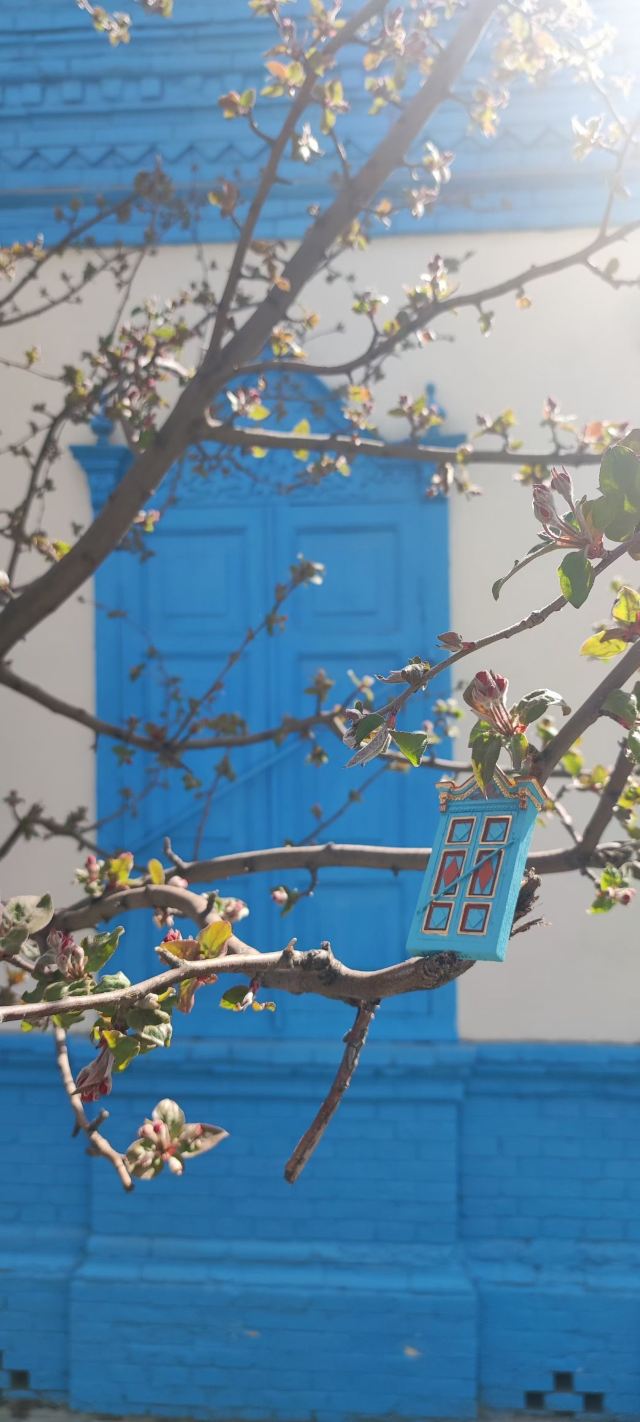 伊犁老城文化旅游区旅行图片 2