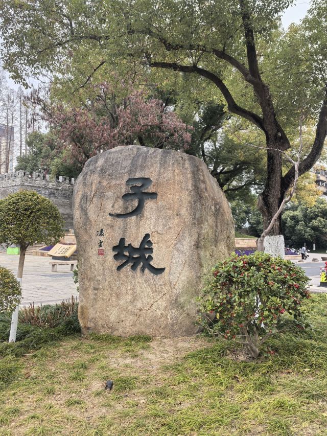 嘉兴子城遗址公园旅行图片 1