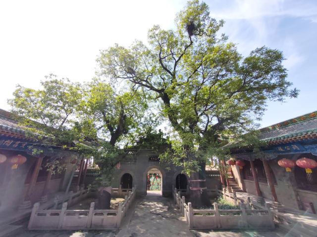 太原龙山景区旅行图片 3