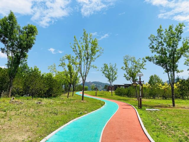 湖滨公园-莱西湖生态休闲区旅行图片 7