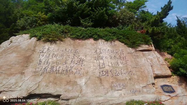 棒棰岛旅行图片 3