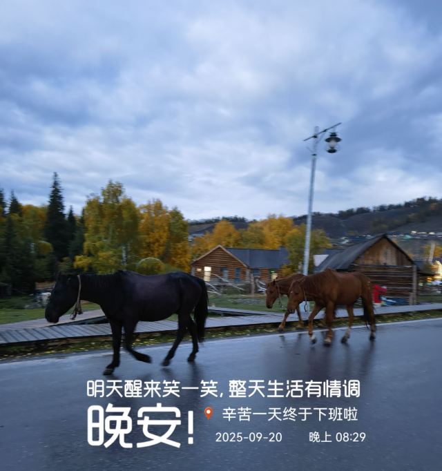 白哈巴西北第一村-石碑旅行图片 3