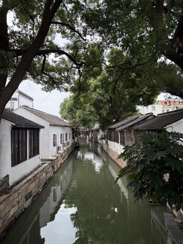 锦溪古镇旅行图片 4