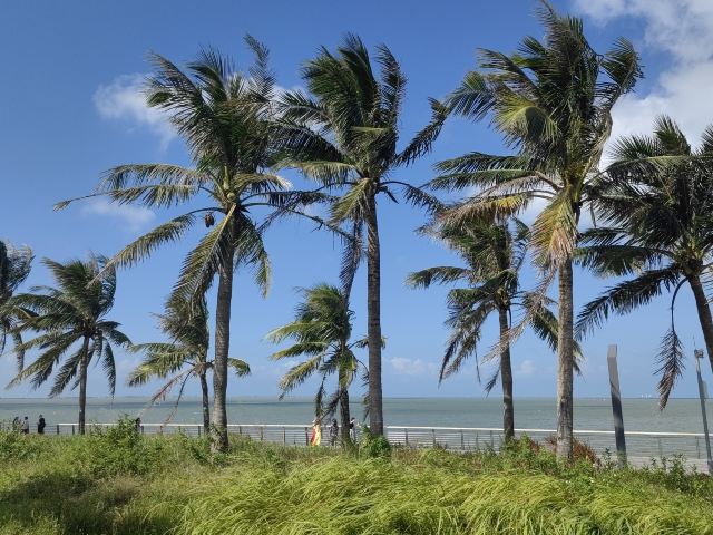 海口观海台旅行图片 2