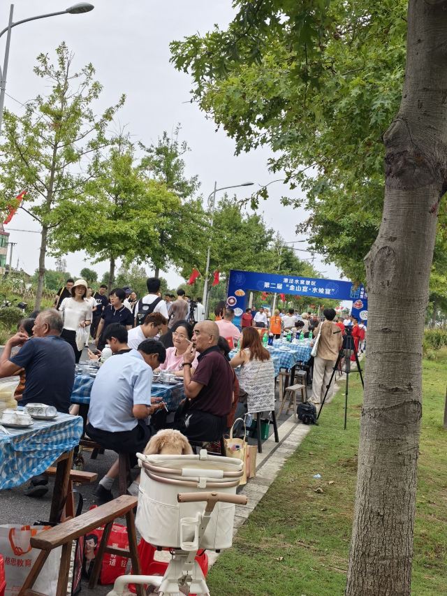 上海漕泾郊野公园旅行图片 2
