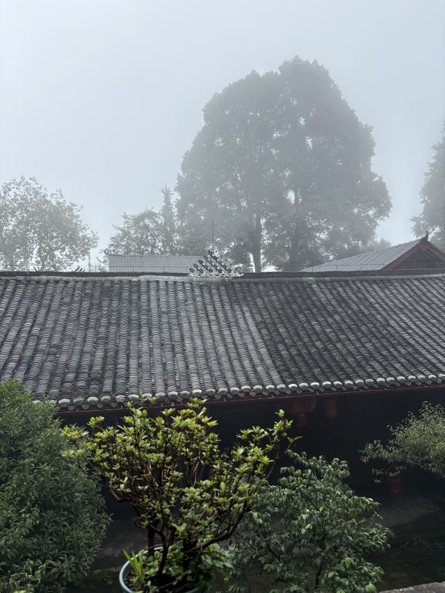 青城山景区旅行图片 3