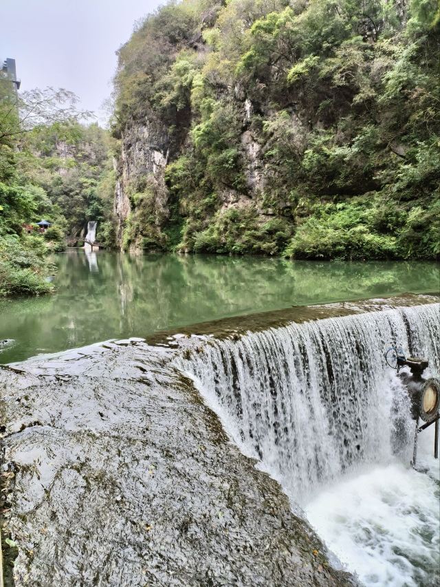 洒金公园旅行图片 1