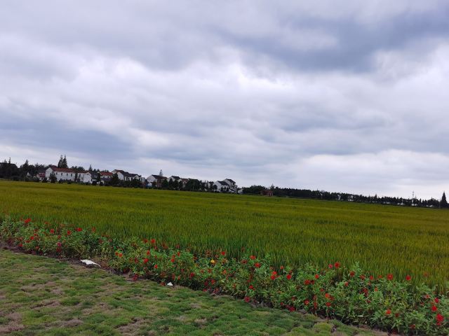 上海浦江之首旅行图片 2