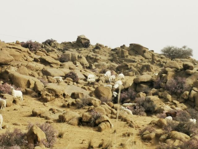 风蚀冰臼地质公园旅行图片 2
