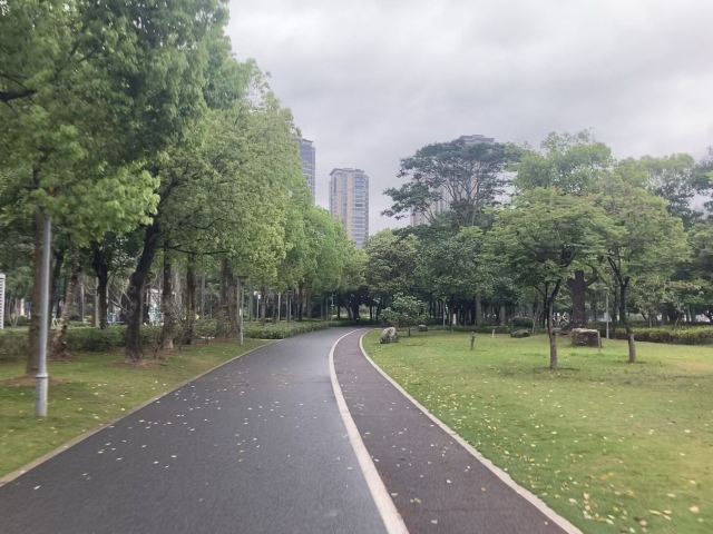 碧湖生态公园旅行图片 3