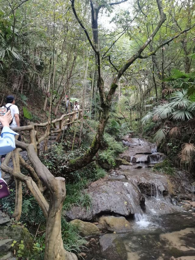 宝峰岩景区旅行图片 2