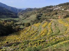 婺源-郭润龙浪迹天涯