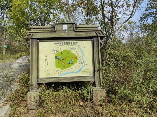 青川郝家坪战国墓群旅行图片 4