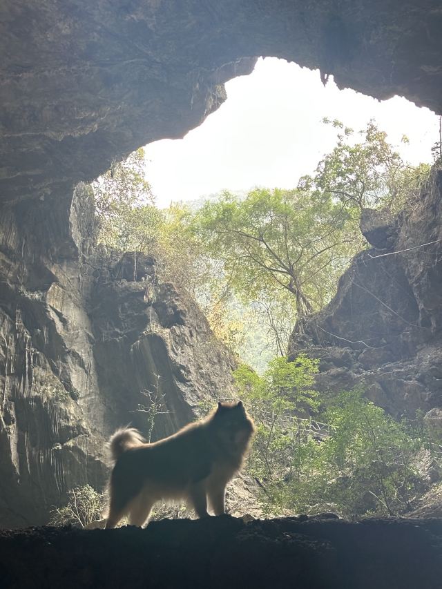 弄响天坑旅行图片 4