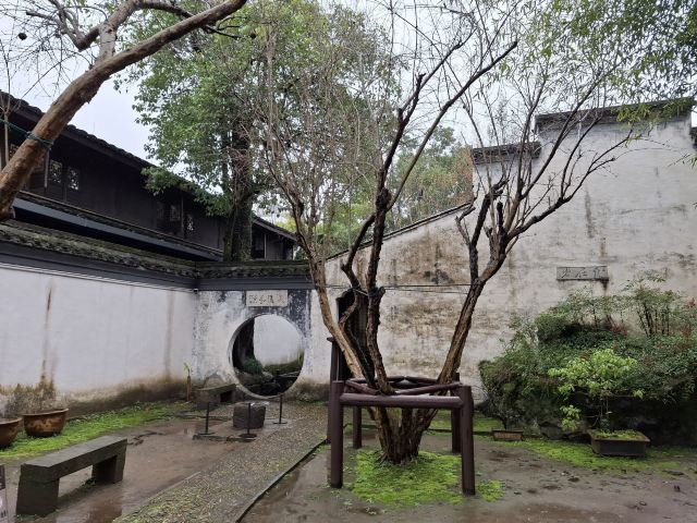 青藤书屋旅行图片 2