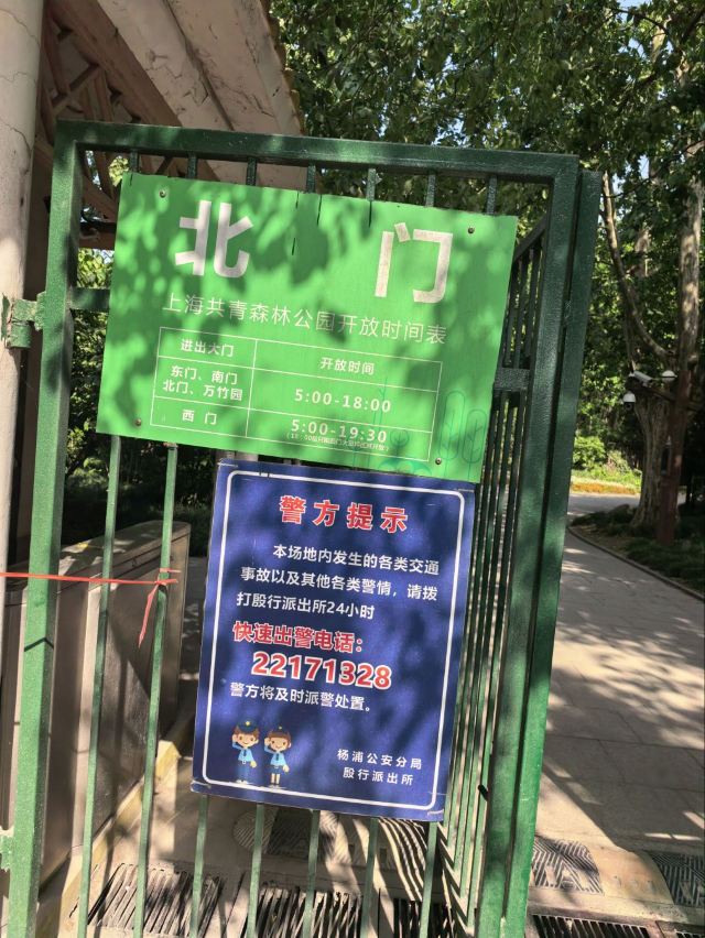 上海共青森林公园旅行图片 6