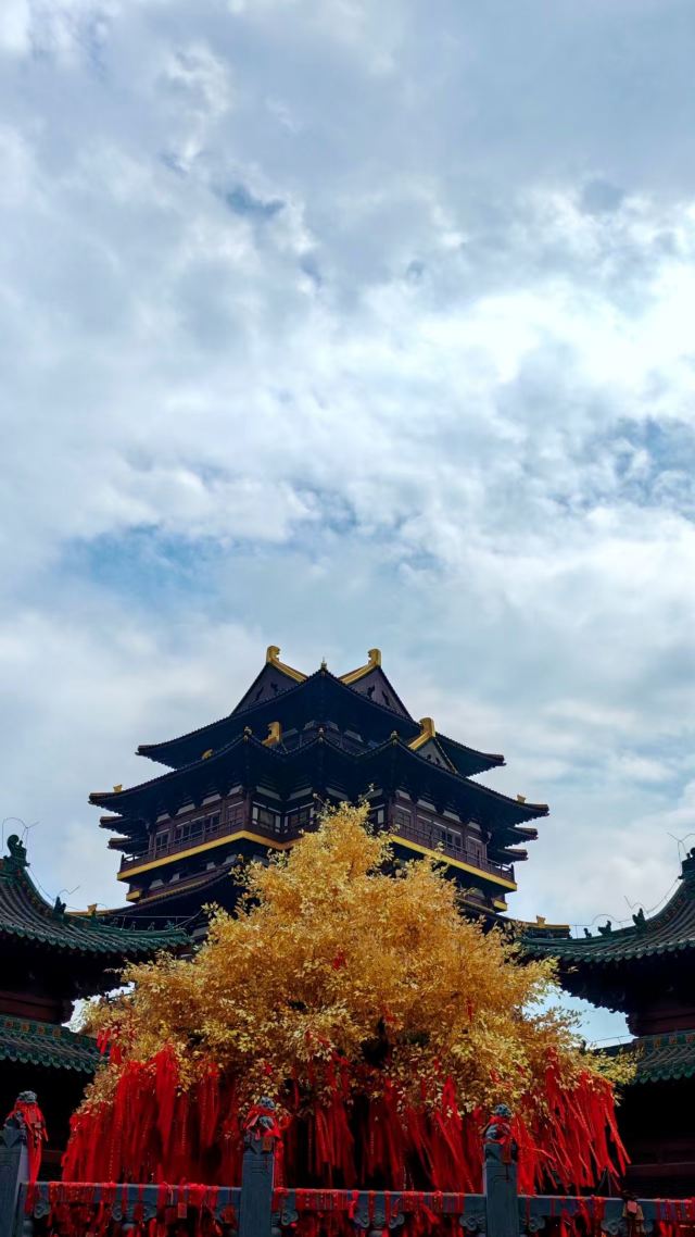 溱洧水城旅行图片 1