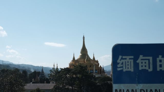 西双版纳独树成林景区旅行图片 1