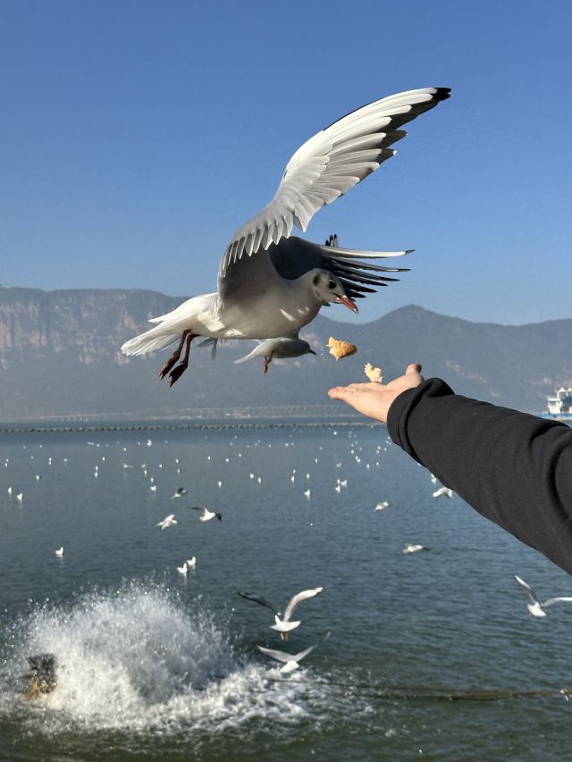 海洪湿地泼水广场旅行图片 1