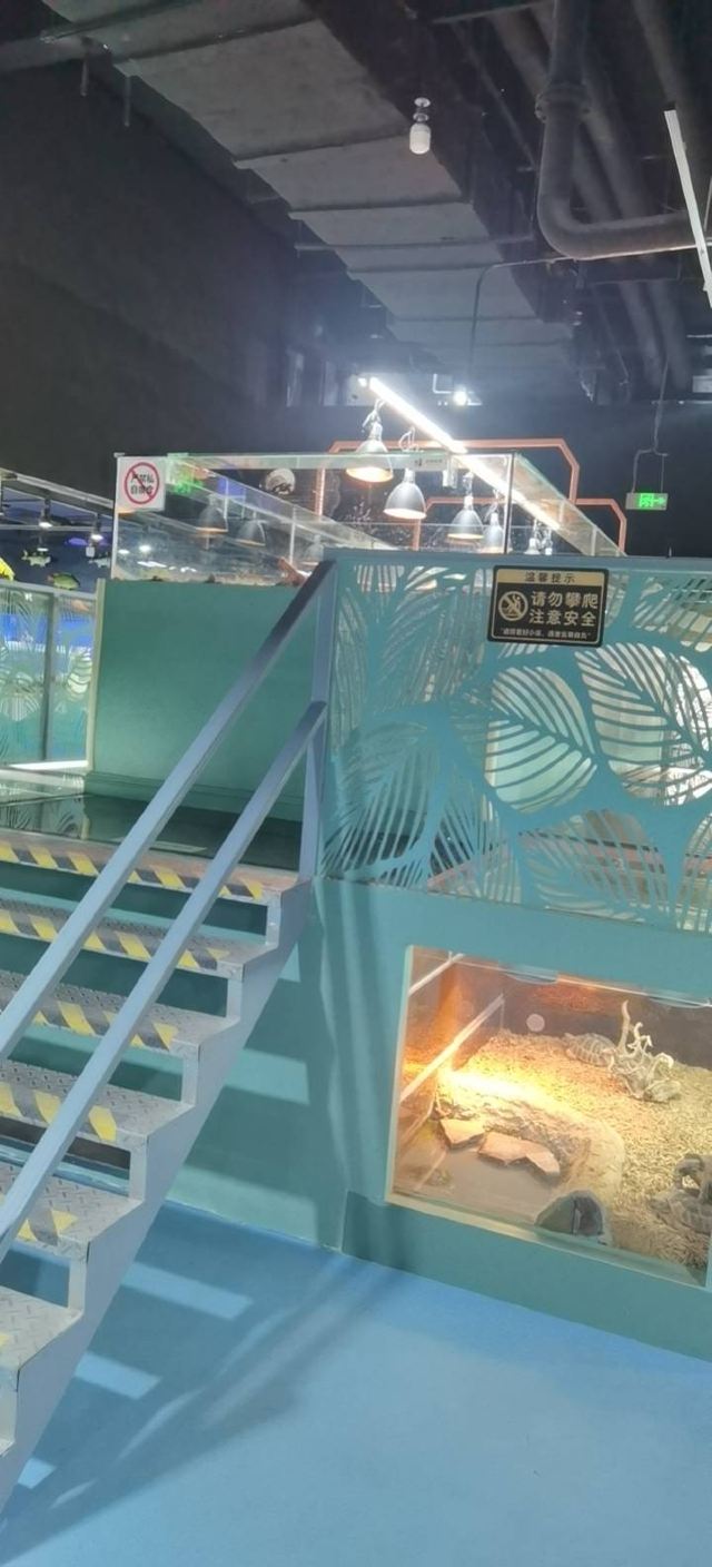 东方明珠公园旅行图片 3